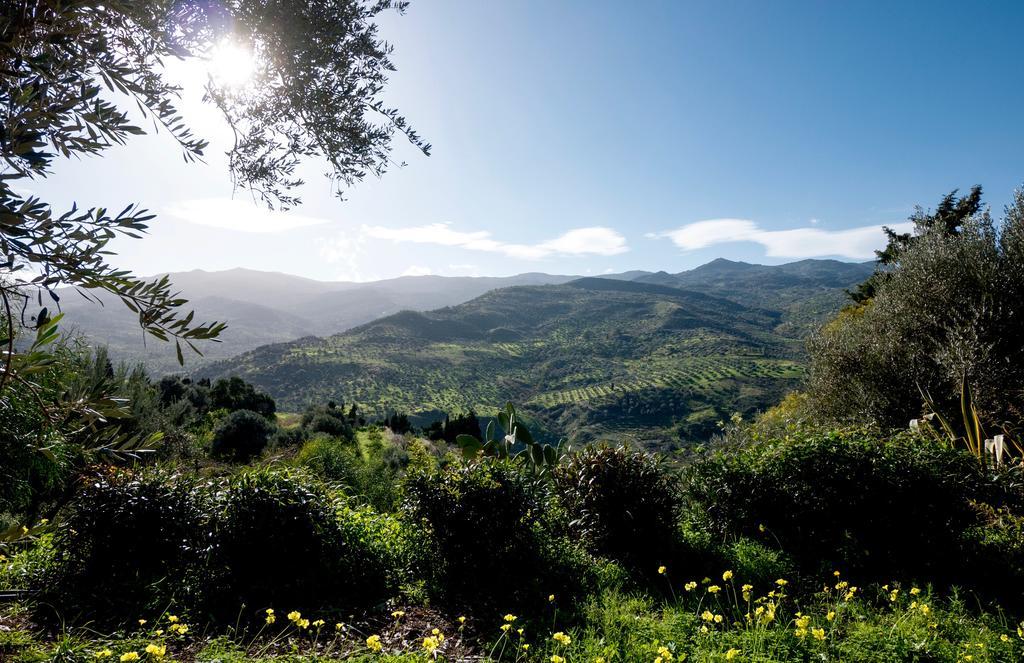 فيلا Casa Migliaca Pettineo المظهر الخارجي الصورة