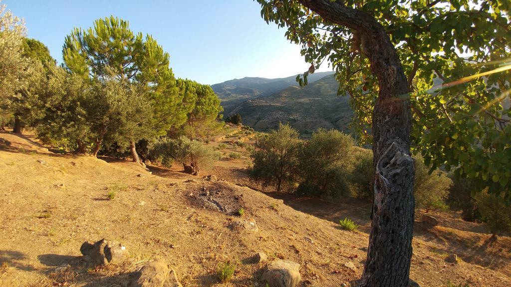 فيلا Casa Migliaca Pettineo المظهر الخارجي الصورة