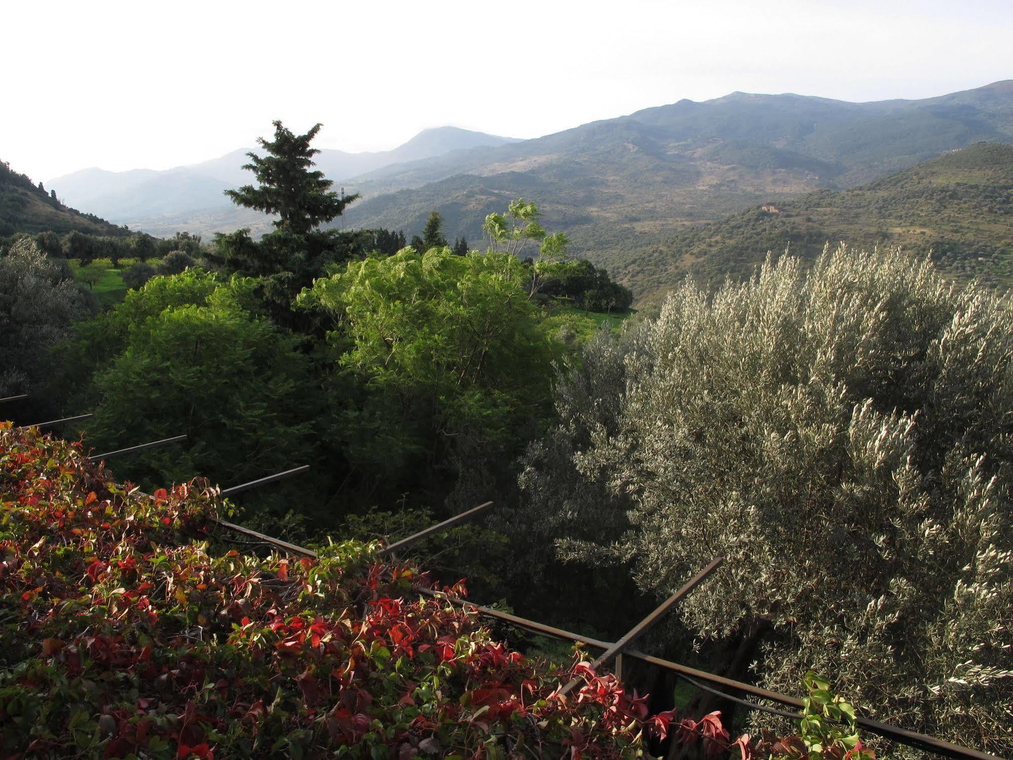 فيلا Casa Migliaca Pettineo المظهر الخارجي الصورة