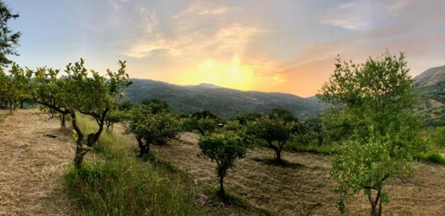 فيلا Casa Migliaca Pettineo المظهر الخارجي الصورة